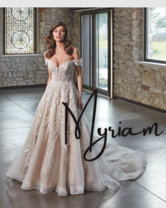 Alquiler:  N227IVL   Talla:  M - L